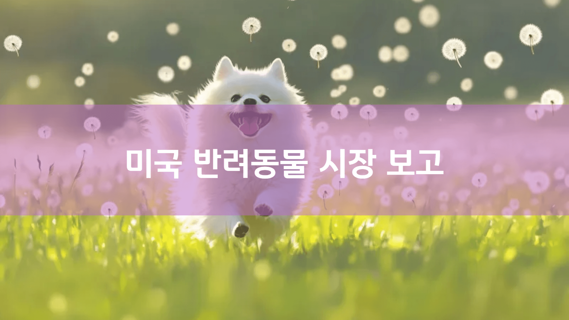 미국 반려동물 시장, 2천억 달러 폭발적 성장! K-펫 수출 성공 전략은? | AAMOND Global
